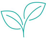 plant icon