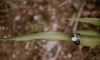 Detail shot of bride and groom rings in Central Texas