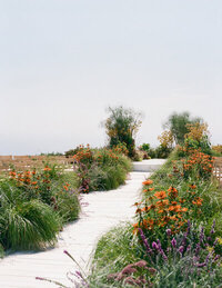 outdoor ceremony setup by destination wedding planner