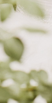 Screen Shot 2017-04-27 at 3.05.14 PM