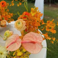Bright tropical Hawaiian flowers by Sunrise Blooms Kauai