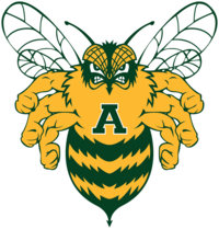 3 personal trainers standing in a row