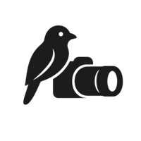 Bird with binoculars icon symbolizing patience and presence that Alex Kaplan applies to his headshot sessions