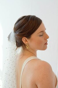 Crystal Wedding Veil