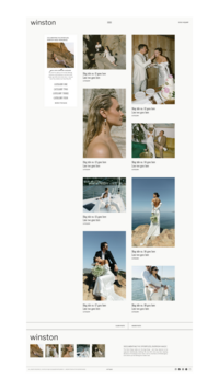 Winston showit website template mockup