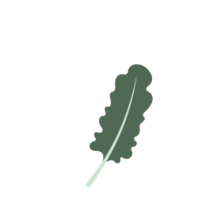 sfnsg-leaf-2