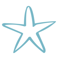 Bondi Marketing starfish icon turquoise