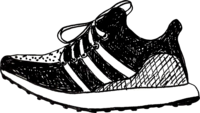 Trainer1