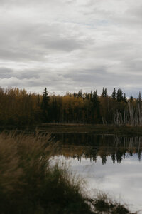 Peaceful outdoor landscape used as an accent image for a Showit website designed for photographers.