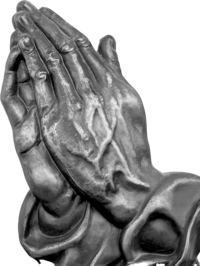 pray hands