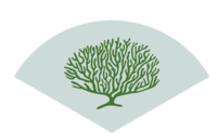 Leslie Hansen + Associates logo with a green fan coral symbol on a soft blue background.