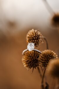 Ashley Jade Photography_0115