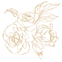 Beige floral line art illustration featuring blooming roses and leaves with a minimalist, elegant design.