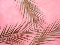 jimena-743930-unsplash