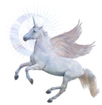 White Flying Unicorn Representing Animal Communication Course