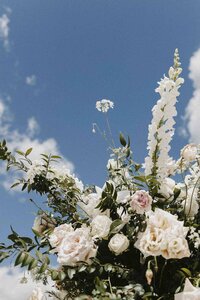South Carolina Wedding Photography
