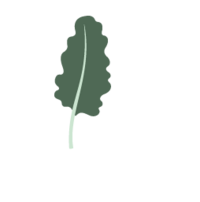 sfnsg-leaf-1