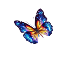 Graceful Butterfly Design in Fairy Star Showit Template Representing Ethereal Magic