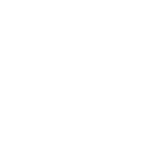 Lending-Club-White