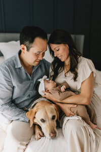 A loving family moment: a mother and father, seated on a bed and gazing tenderly at their newborn baby cradled in the mother's arms, with their loyal golden retriever sitting beside them