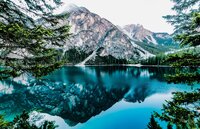 EarthAlliance Environment Showit Website Template by Humankind