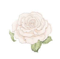 Casey Rose Photography: North Carolina Film Photographer