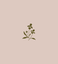 Floralyn Portfolio-32