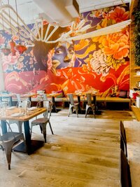 Cozy DC restaurants with aesthetic murals, outdoor seating, and unique interior design. Real photos from local dining experiences.  