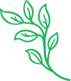 TCC_Green Leaf
