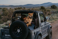 Piggyback in the Plains | Tori Stanton