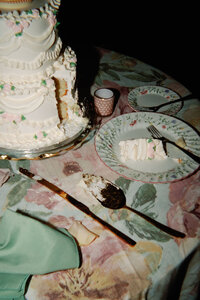 Wedding party lifting drinks for toast taken by chicago film wedding photographer Allison Francois
