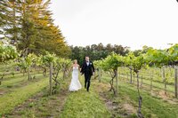 Wedding couple walking near jersey shore vineyard