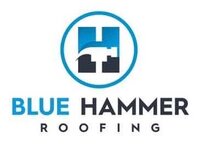 Blue Hammer Cropped