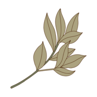 leaf-01