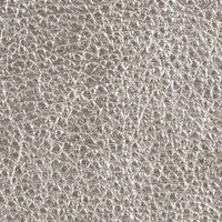 Leather-Metallic-Platinum