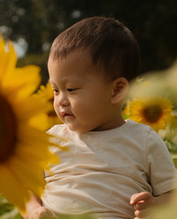 A photo of Cindy's son in a sunflower field.