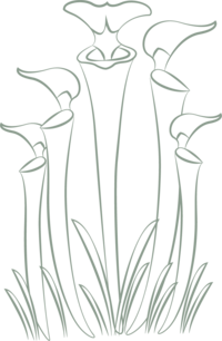 K.S.Otter Events pitcher plant icon