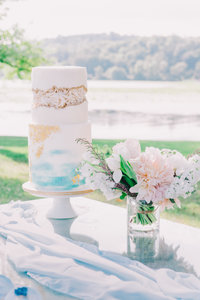 nj-photographer-wedding-cake-4