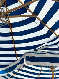 branding-and-website-design-strategy