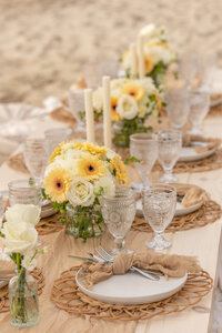 Luxury Picnics in Santa Barbara, California