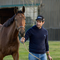 Adam Corndorf leading a young Thoroughbred horse.