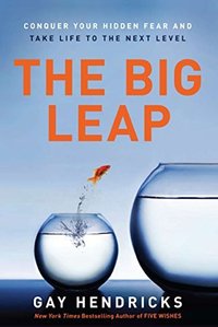 the big leap book cover