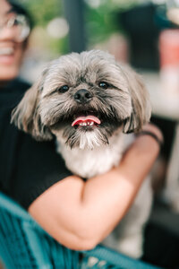 new jersey wedding photographer catching a beautiful kiss after their first look