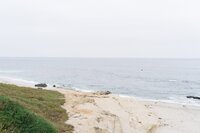 Overcast photo of Windansea Beach in San Diego California