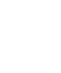 White illustration of dahlia flower