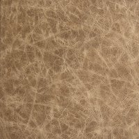 MS Albums LEATHER_0003s_0003_terra