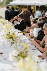 Starr Lake Vineyards Wedding in Sonoma, California