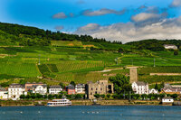Terraced vineyards rising above the town of Rüdesheim, Germany, with historic stone towers, hillside wineries, and a river cruise boat on the Rhine in the foreground.