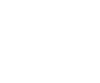 Peony Bouquet 1 16x16inches PNG