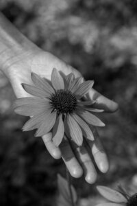 wellness with dora_8 bw